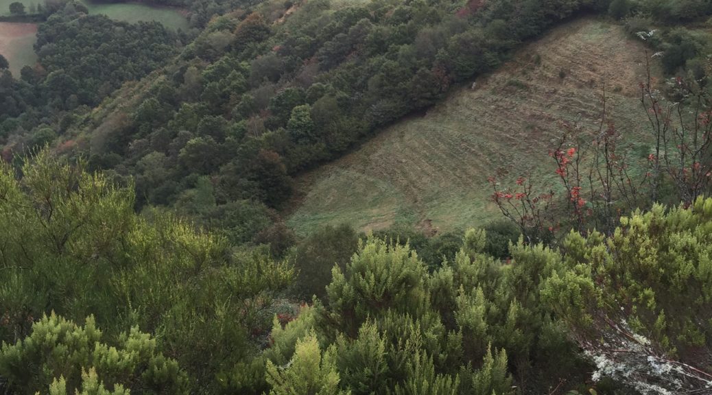 Looking down into the valley